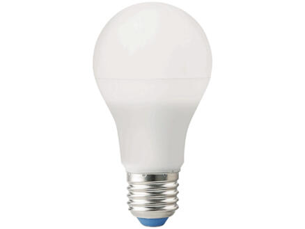 Ampoule LED poire E27 6W 1