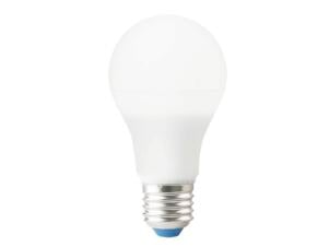 Ampoule poire LED E27 10W blanc chaud