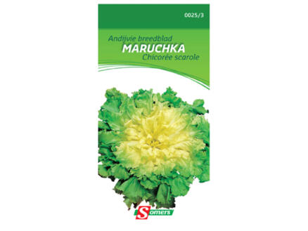 Andijvie breedblad Maruchka 1
