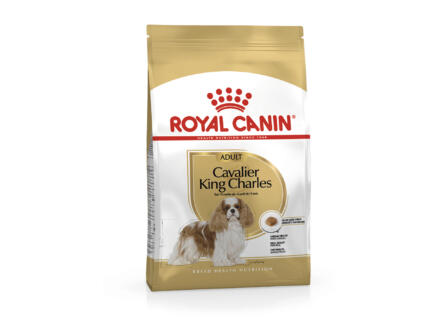 Royal Canin Breed Health Nutrition Cavalier King Charles Adult hondenvoer 1,5kg 1