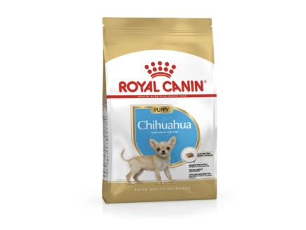 Royal Canin Breed Health Nutrition Chihuahua Puppy croquettes chien 1,5kg 1