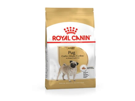 Royal Canin Breed Health Nutrition Pug Adult croquettes chien 1,5kg 1