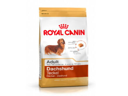 Royal Canin Breed Health Nutrition Teckel croquettes chien 1,5kg 1