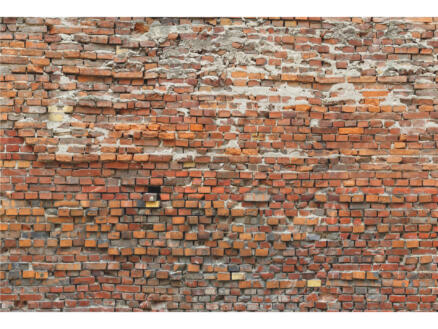Komar Bricklane papier peint photo briques 4 bandes 1