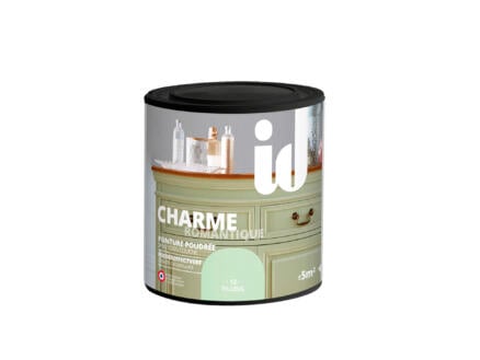 Charme peinture meubles bois et MDF 0,5l tilleul 1