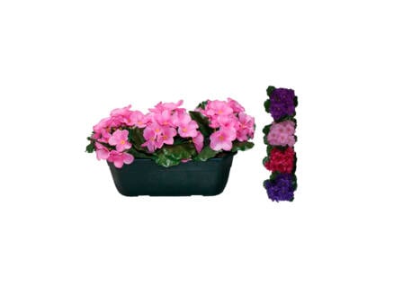 Compo bac à fleurs disponible en 3 couleurs 1