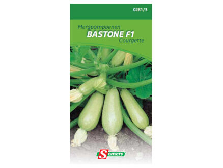 Courgette Bastone F1 1