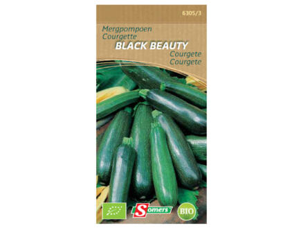 Courgette Black Beauty 1