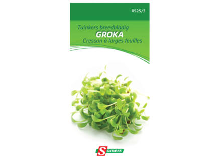 Cresson à larges feuilles Groka 1
