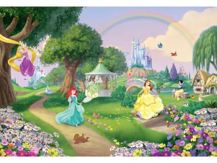 Komar Disney Princess Rainbow fotobehang 8 stroken 1