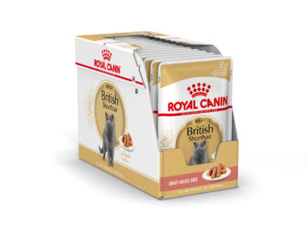 Royal Canin Feline Breed Nutrition British Shorthair Gravy kattenvoer 12x85 g 1