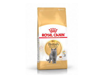 Royal Canin Feline Breed Nutrition British Shorthair croquettes chat 400g 1