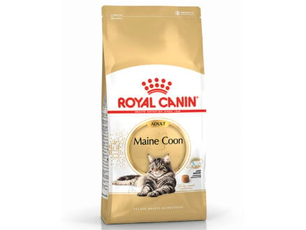 Royal Canin Feline Breed Nutrition Maine Coon croquettes chat 400g 1