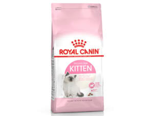 Royal Canin Feline Health Nutrition Kitten croquettes chat 400