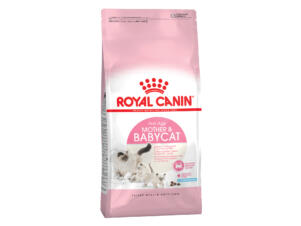 Royal Canin Feline Health Nutrition Mother & Babycat croquettes chat 400g