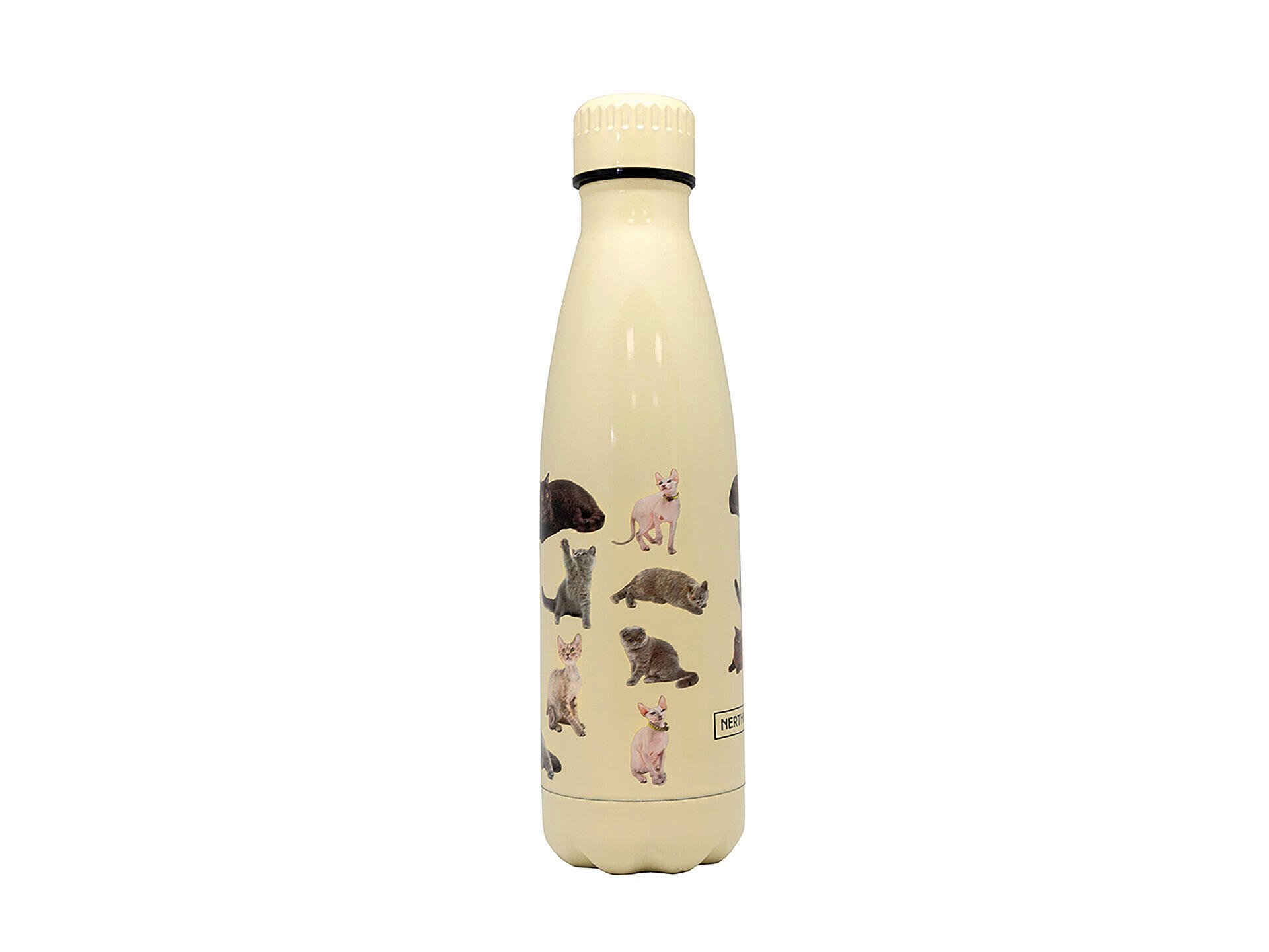 Gourde sous vide 500ml chats