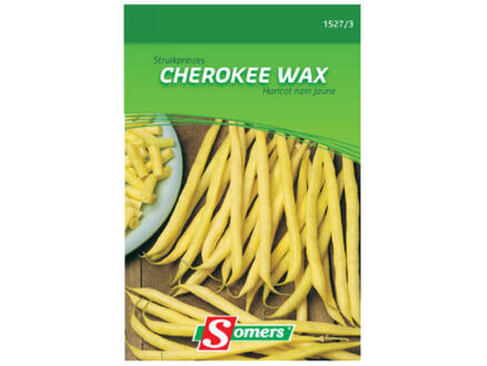 Haricot nain jaune Cherokee Wax 1