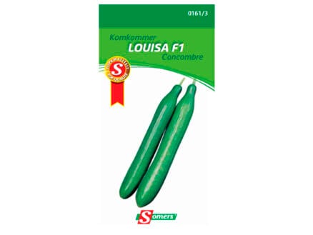 Komkommer Louisa F1 1
