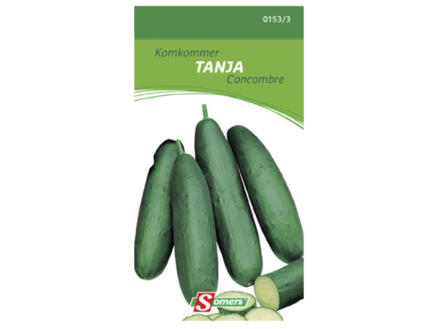 Komkommer Tanja 1