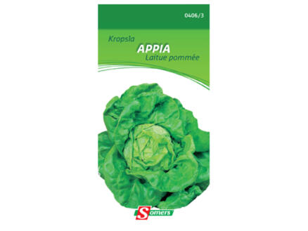 Kropsla Appia 1