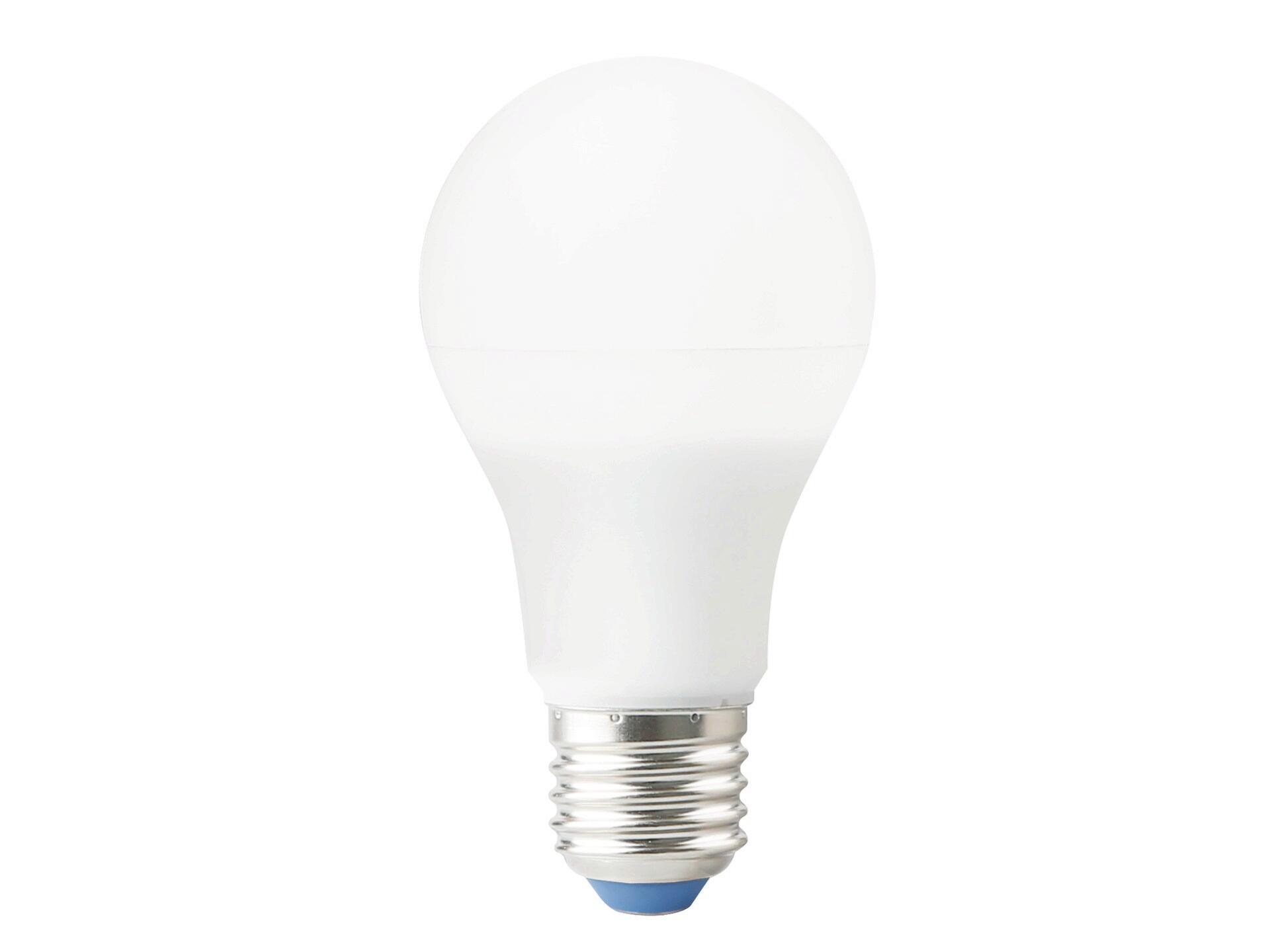 Smelten de jouwe Dag LED peerlamp E27 10W warm wit | Hubo