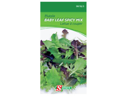 Laitue à couper Baby Leaf Spicy Mix 1