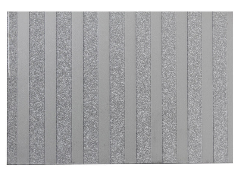Scala Line plaat 100x50 cm 2,5mm polystyreen transparant