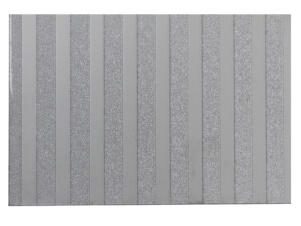 Scala Line plaque 100x50 cm 2,5mm polystyrène transparent