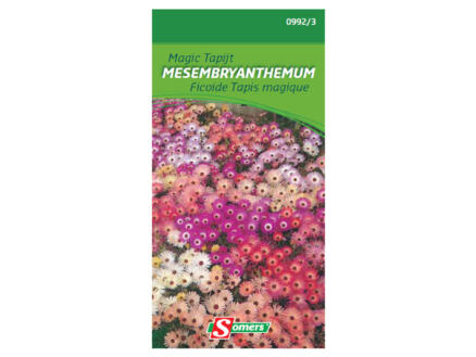 Magic Tapijt Mesembryanthemum 1