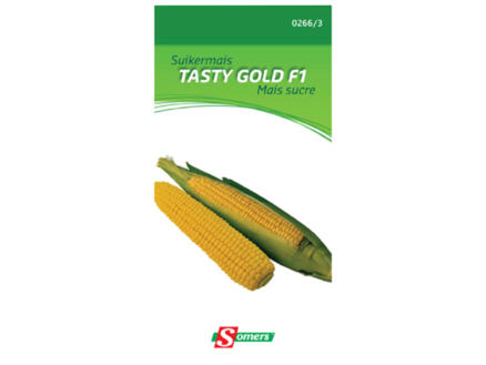 Maïs sucré Tasty Gold F1 1