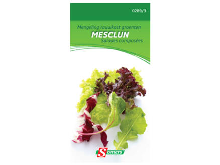 Mengeling rauwkost groenten Mesclun 1
