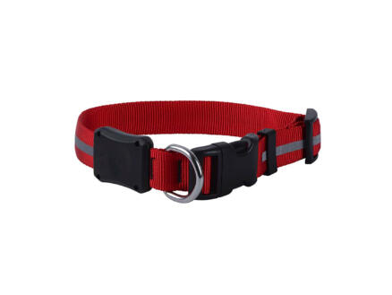 Nite Ize NiteDawg collier chien LED 25,4-33 cm rouge 1