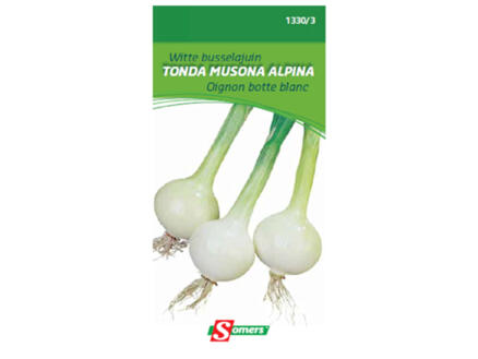 Oignon botte blanc Tonda Musona Alpina 1