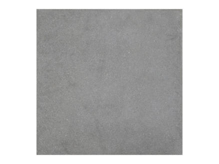 Oostende dalle de terrasse 60x60x4,1 cm 0,36m² gris clair