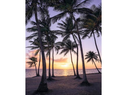 Komar Palmtrees Beach digitaal fotobehang vlies 2 stroken 1