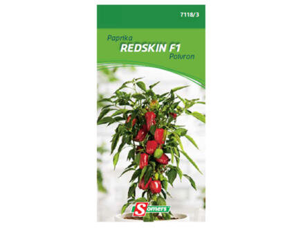 Paprika Redskin F1 1