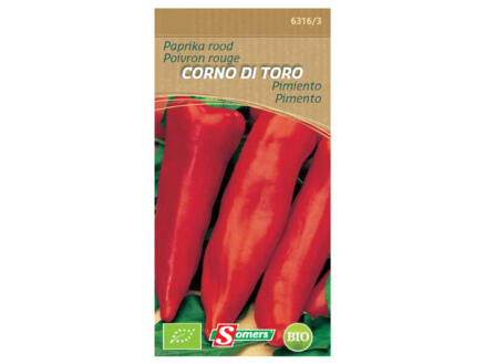 Paprika rood Corno di Toro 1