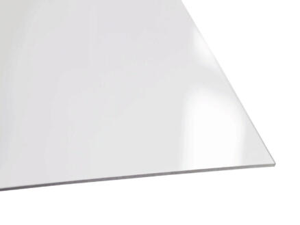 Scala Plaque 100x50 cm 0,8mm PVC cristal 1
