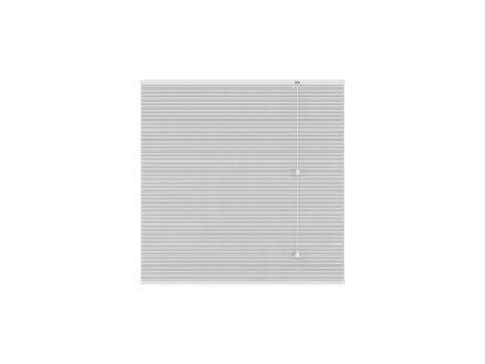 Plisségordijn lichtdoorlatend 120x180 cm wit 1