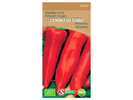 Poivron rouge Corno di Toro 1