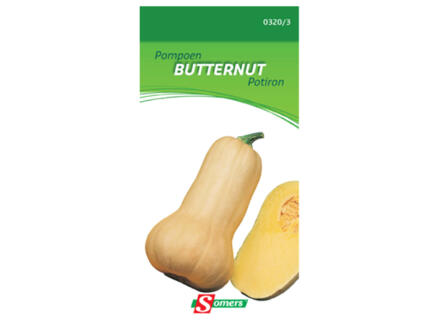 Potiron Butternut 1