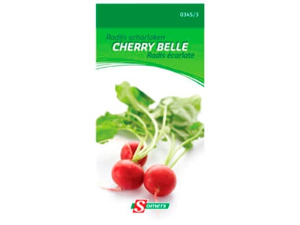 Radijs scharlaken Cherry Belle 1