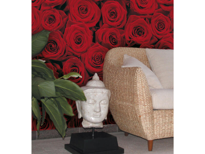 Komar Roses papier peint photo 4 bandes