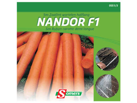 Ruban carottes Mandor F1 5m 1