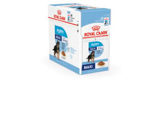 Royal Canin SHN Maxi Puppy hondenvoer 140g 10 stuks