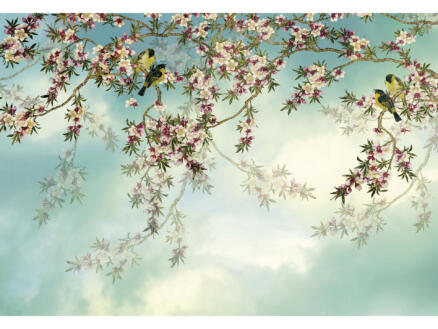 Komar Sakura papier peint photo 8 bandes