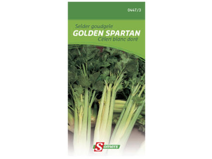Selder goudgeel Golden Spartan 1