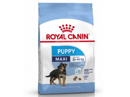 Royal Canin Size Health Nutrition Maxi Puppy croquettes chien 15kg 1