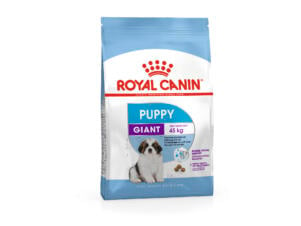 Royal Canin Size Health Nutrition Puppy Giant croquettes chien 3,5kg