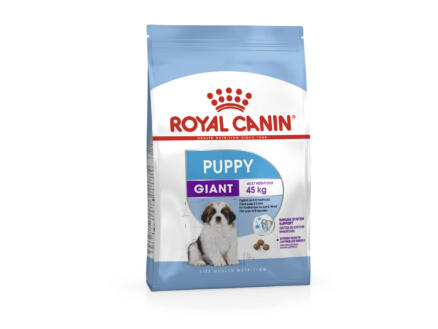 Royal Canin Size Health Nutrition Puppy Giant croquettes chien 3,5kg 1